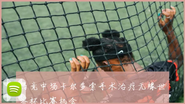马竞中场卡尔多索手术治疗无缘世界杯比赛机会