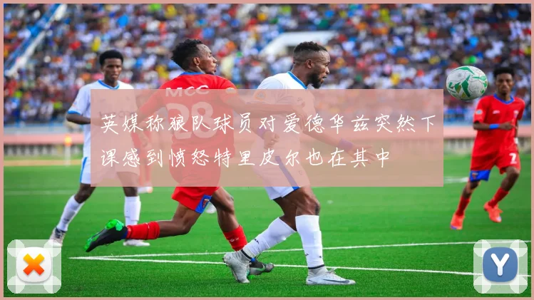 英媒称狼队球员对爱德华兹突然下课感到愤怒特里皮尔也在其中